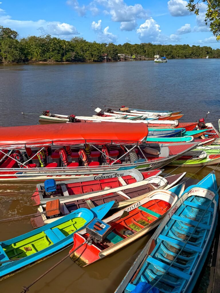 Reunião Rio Guajará de Beja